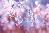 Beautiful wild flowers, blurred image with bokeh and morning light
