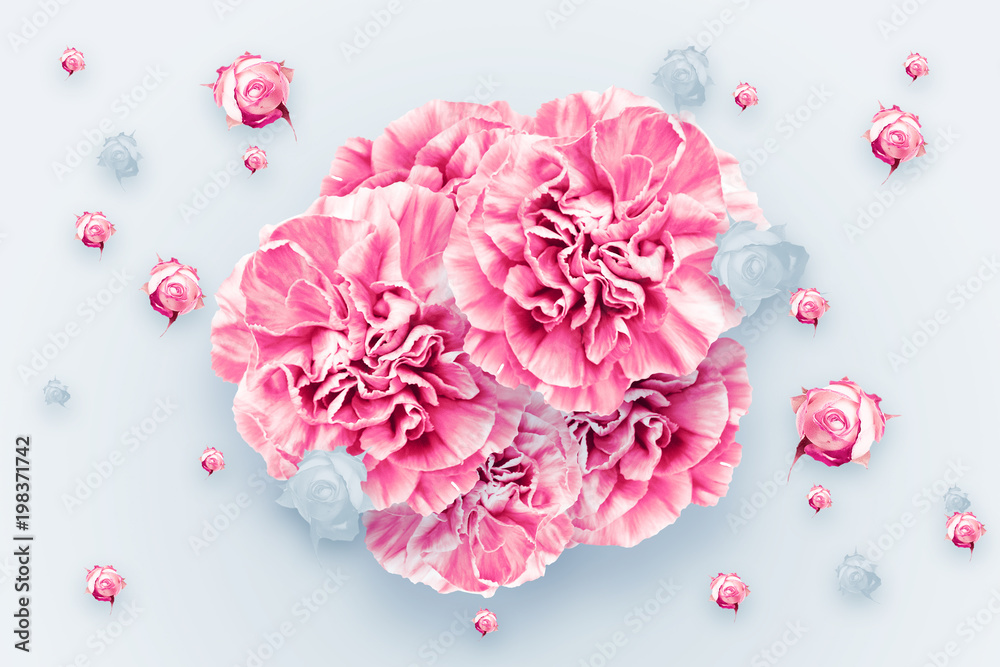 Obraz premium Spring background, pink, red and white carnations on a light background. Floral background. flat lay, top view, Mixed media. Valentine's Day, March 8