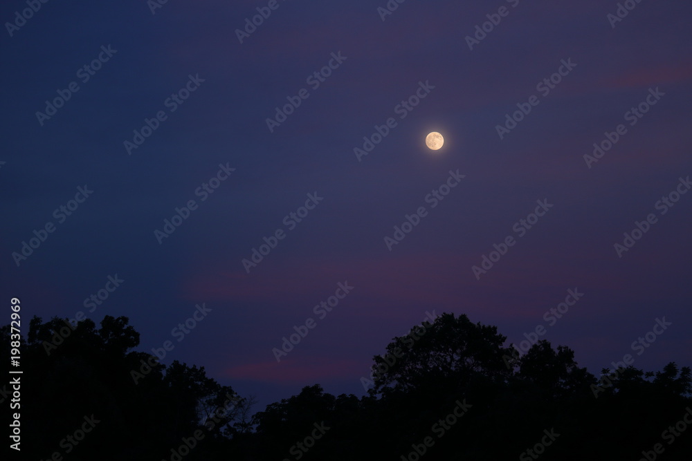 The full moon shines in a sky turned pink and blue during sunset on a summer evening.