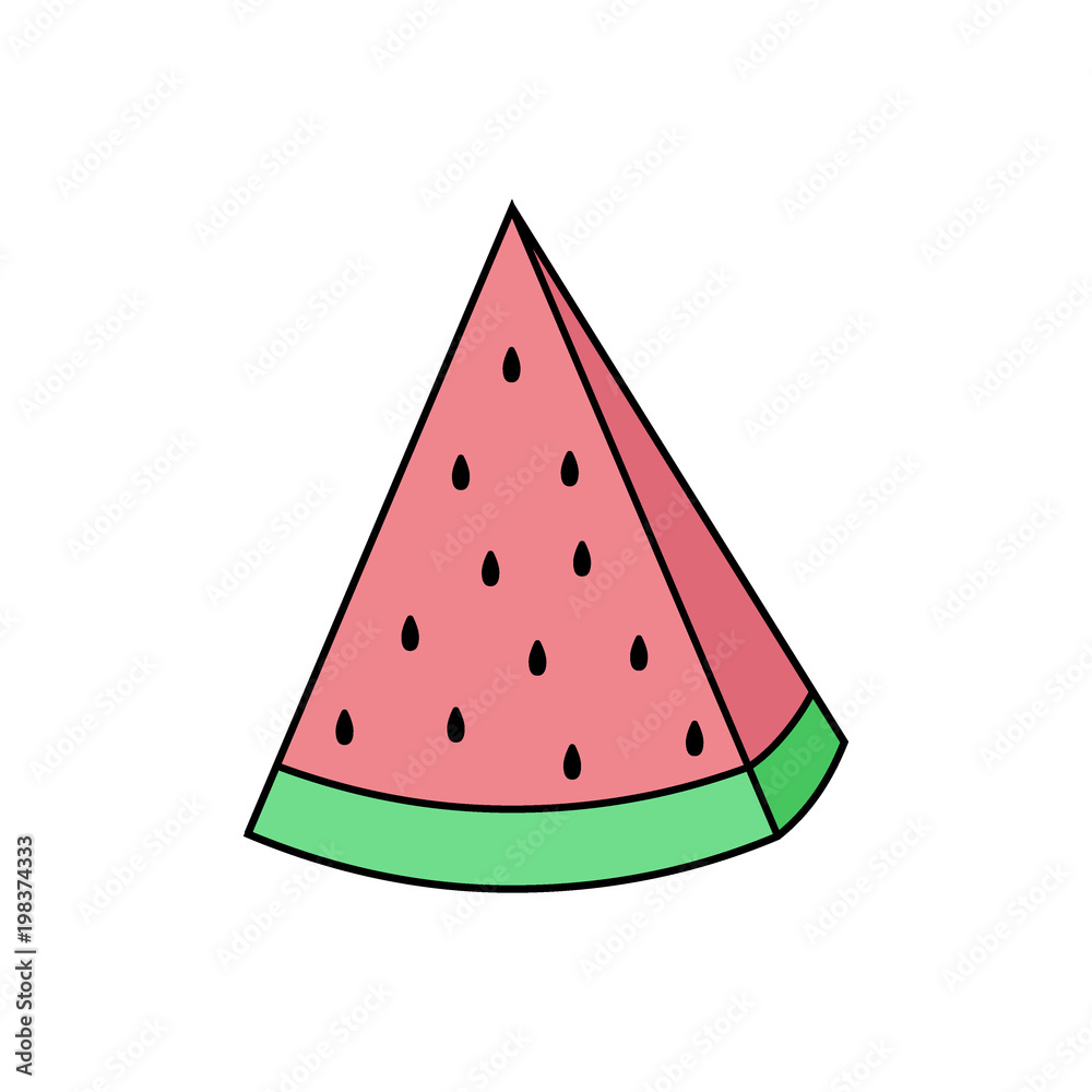 Image of a watermelon on a white background. Vector. Image of a watermelon on a white background. Vector.