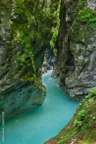 Tolmin gorge in Triglav National Park  Slovenia