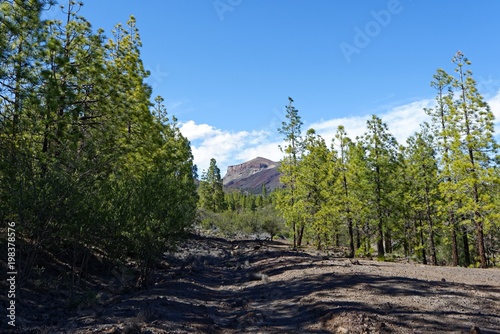 Teneriffa - Pasaje Lunar Wanderweg von Vilaflor photo