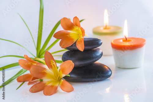 Beautiful spa compostion with black massage stones  red flowers and burning candles on white glossy background
