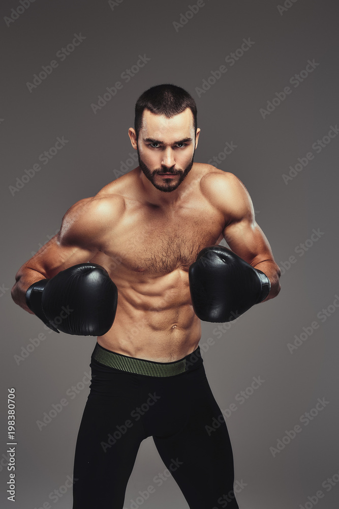 Studio portrait of a shirtless brutal athletic boxer wearing black boxing gloves on gray background.