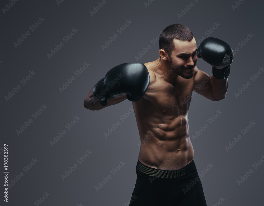 A brutal shirtless caucasian sportsman in boxing gloves training isolated on a gray background. A brutal shirtless caucasian sportsman in boxing gloves training isolated on a gray background.