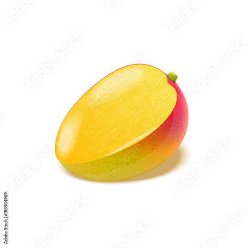 Half a ripe mango fruit isolated on white background. Vector realistic illustration