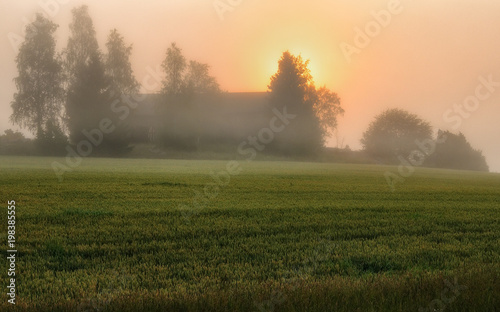 foggy morning. a beautiful summer sunrise in the field