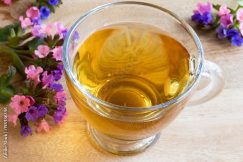 Lungwort (pulmonaria) tea with fresh lungwort flowers