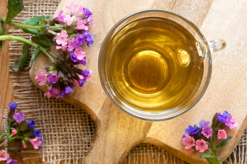 Lungwort  pulmonaria  tea with fresh lungwort flowers