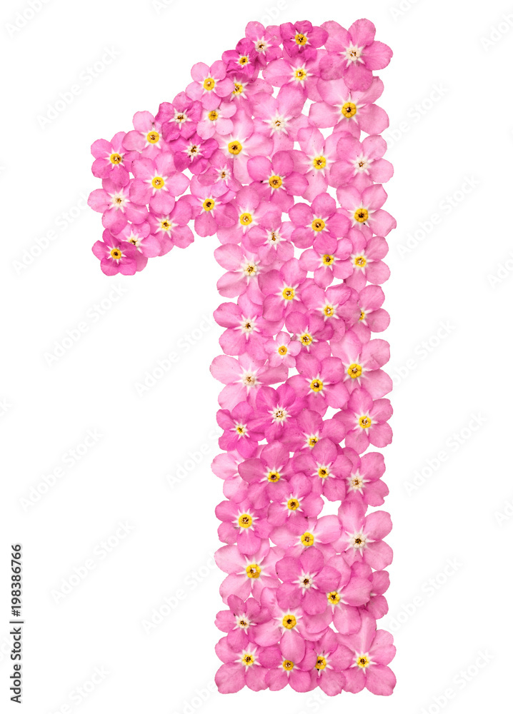 Arabic numeral 1, one, from pink forget-me-not flowers, isolated on white background