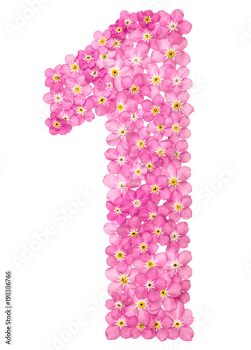 Obraz na płótnie Arabic numeral 1, one, from pink forget-me-not flowers, isolated on white background w salonie