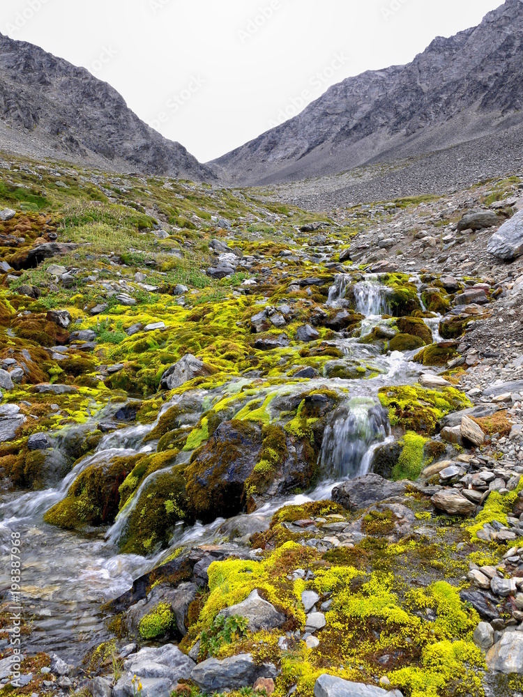 A stream from the melt waters of Martial Glacier Ushuaia Patagonia Argentina A stream from the melt waters of Martial Glacier Ushuaia Patagonia Argentina