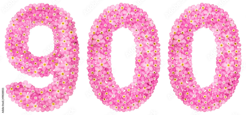 Arabic numeral 900, nine hundred, from pink forget-me-not flowers, isolated on white background