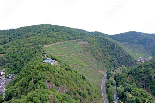 vineyard from the height of the mountains photo