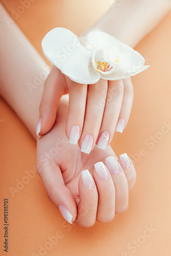 Ombre french manicure with orchid on orange background. Woman with white ombre french manicure holds orchid flower