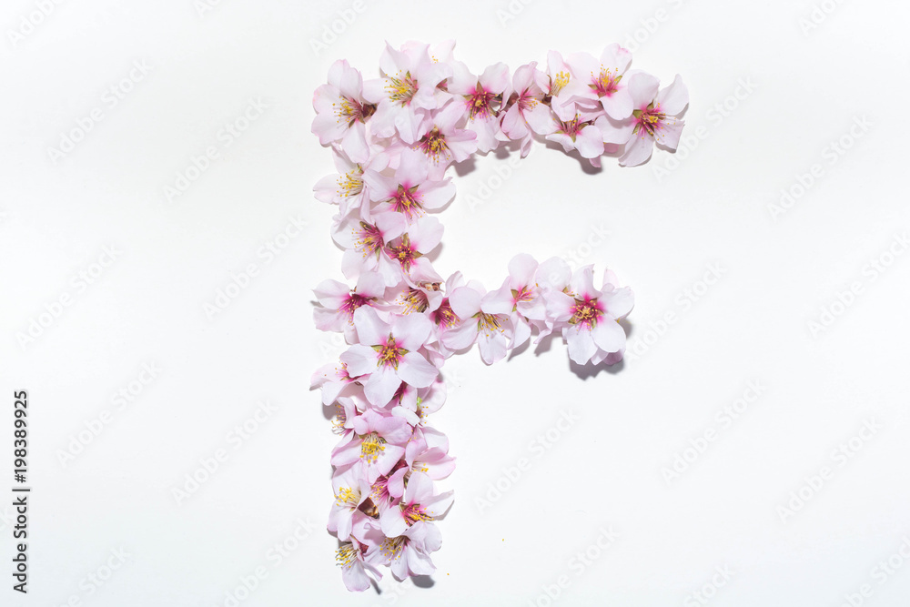Fototapeta premium Letter of the English alphabet from flowers