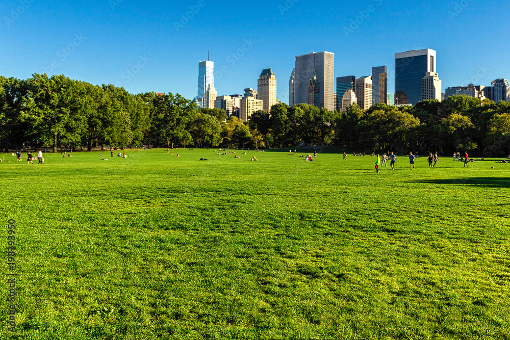 Obraz premium Green lawn in Central Park, New York