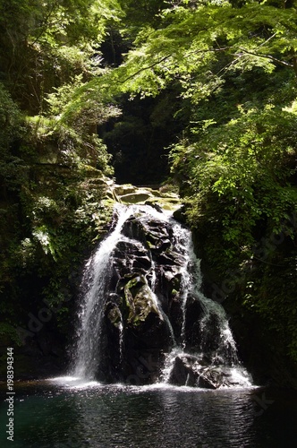 Akame 48 Waterfalls: Mysterious scenery with giant trees & huge moss covered rock formations, untouched nature, lush green vegetation, cascading waterfalls & natural pools in rural Japan near Osaka