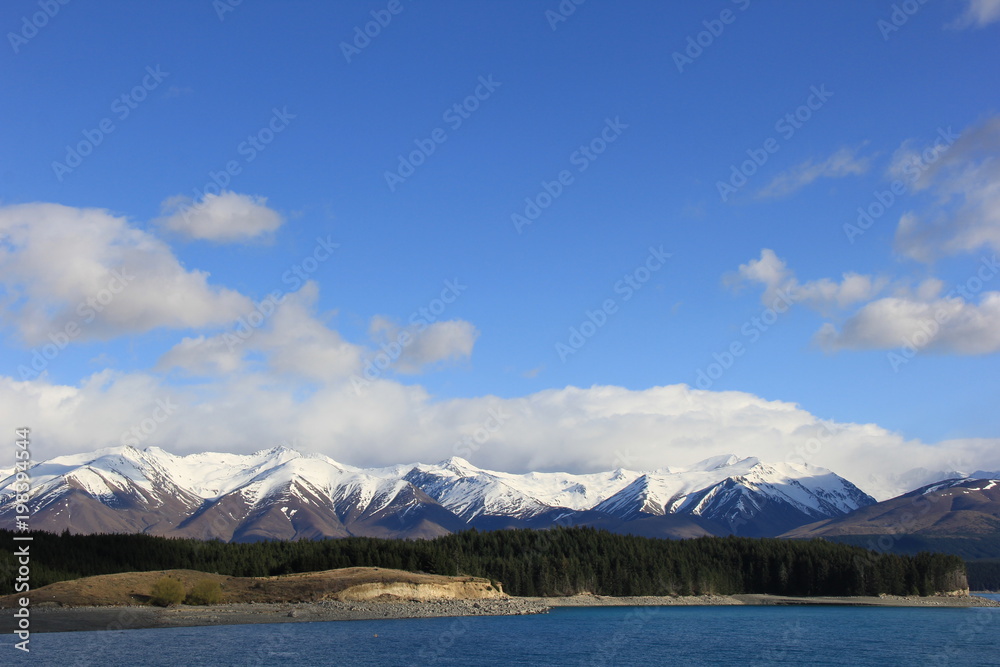 ニュージーランドの自然/プカキ湖南岸から見た風景(ニュージーランド)