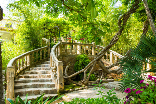 Alfabia nature relaxation park on Tramuntana mountain, Mallorca, Balearic Islands, Spain. Travel vacation concept photo