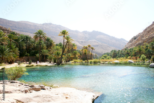 the beautiful emerald fresh water pools of Wadi bani Khalid in Oman photo