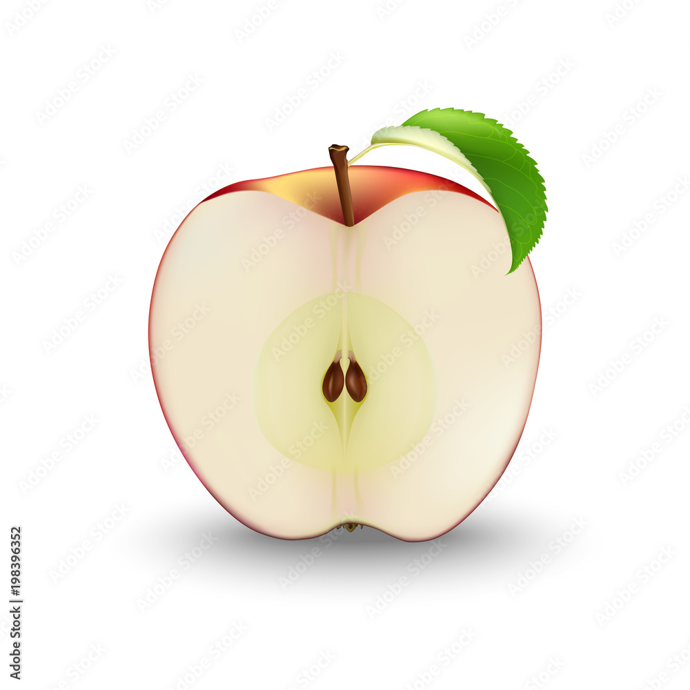 Vector Realistic Red Apple Cut in Half With Seeds and Leaf. Sliced Fruit.  Detailed 3d Illustration Isolated On White. Stock Vector | Adobe Stock