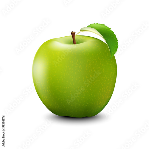 Vector Realistic Green Apple. Detailed 3d Illustration Isolated On White.