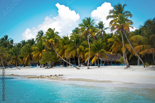 Fototapeta Naklejka Na Ścianę i Meble -  остров Саона Доминикана белый тропический пляж в карибском море 