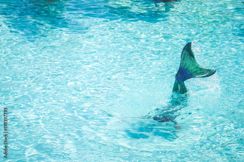 Canvastavla Mermaid in the Pool