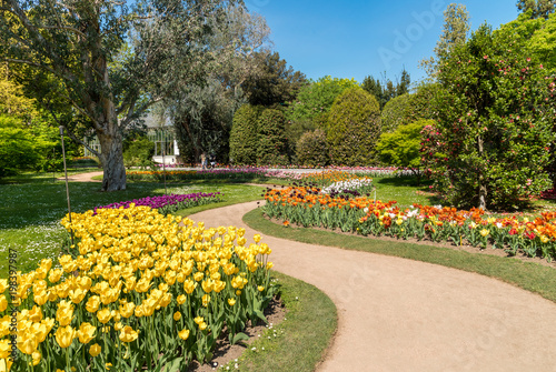 Botanical Gardens of Villa Taranto with colorful tulips in bloom, Pallanza, Verbania, Italy. © EleSi