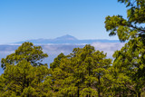 Blick vom Tamadaba Wald auf Gran Canaria zum Pico de Teide auf Teneriffa
