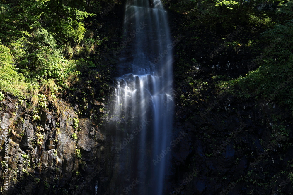 木漏れ日が差す玉簾の滝　Tamadare Falls where the sunlight / Sakata, Yamagata, Japan
