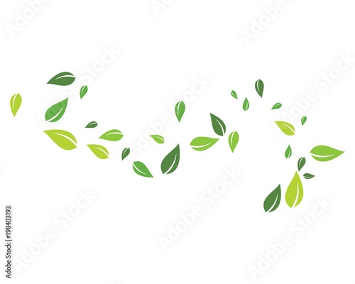 green leaf background