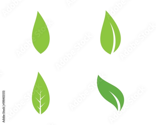  green leaf ecology nature element