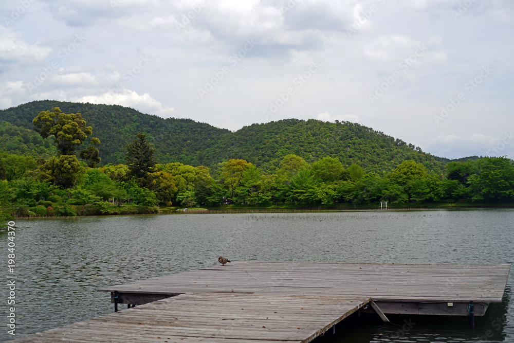 Osawa-no-ike Pond-6