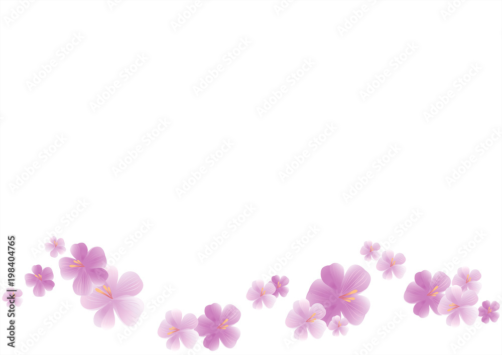 Flying light purple flowers isolated on white background. Apple-tree flowers. Cherry blossom. Border. Vector