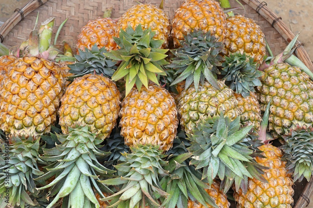 pineapple on street food pineapple on street food
