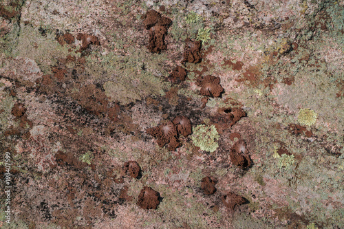 Stone 4