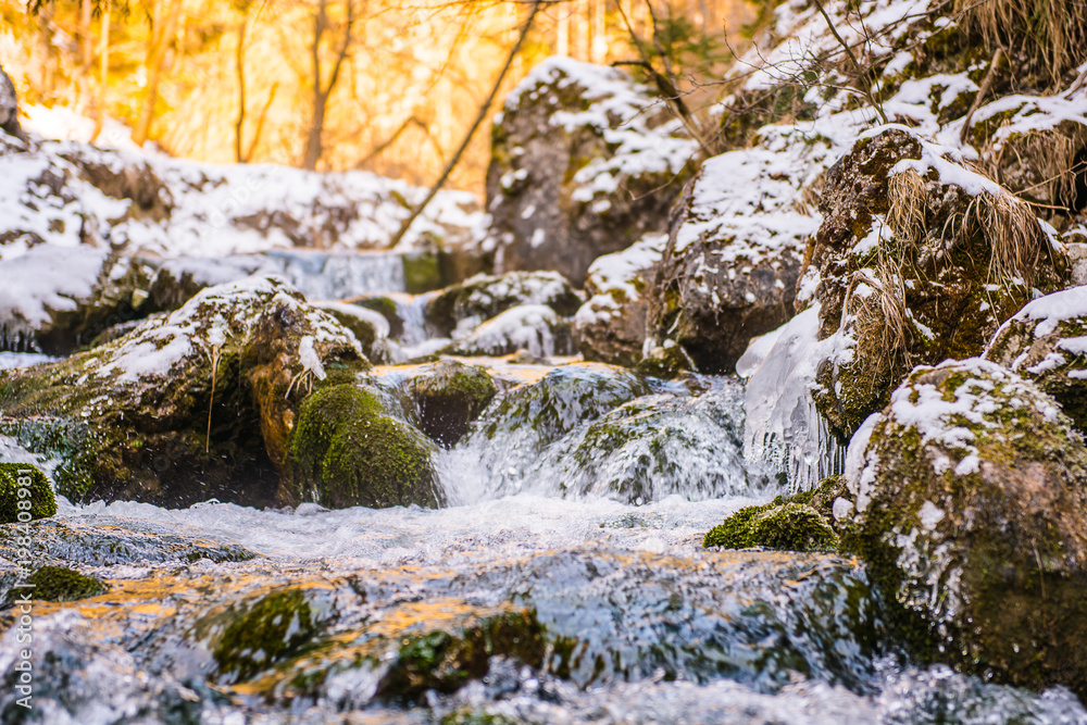 forest rocky mountain spring river flozen spring 