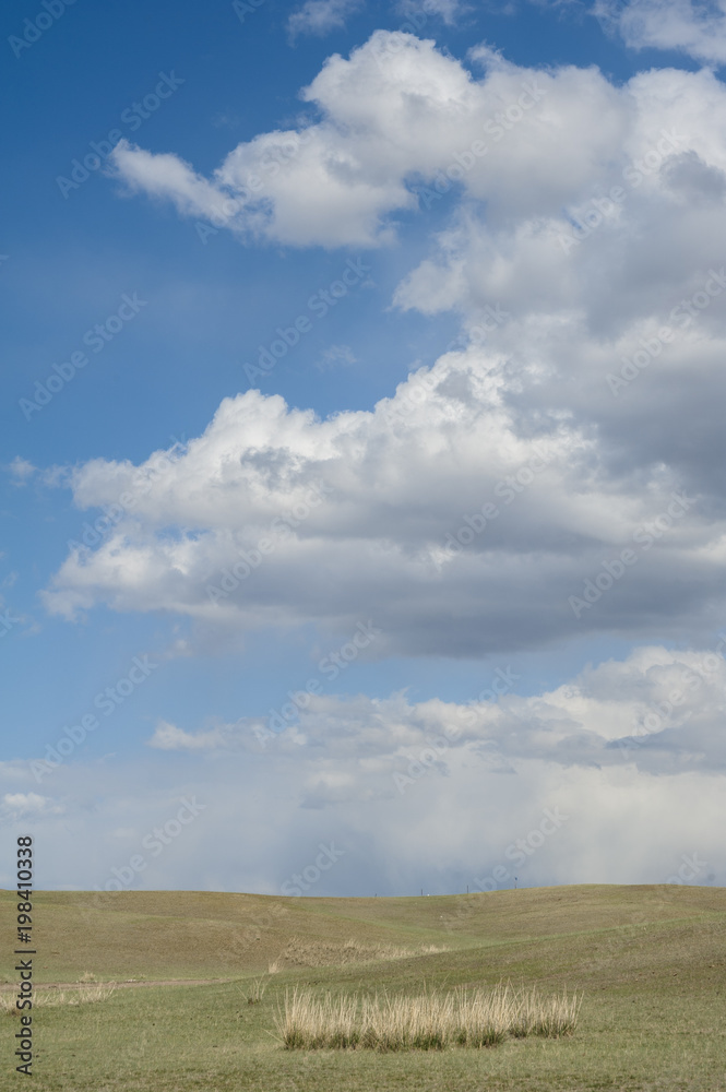 Scenery of the grassland, Xinjiang of China Scenery of the grassland, Xinjiang of China
