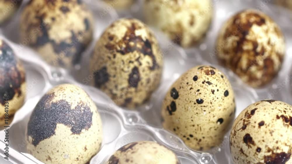 Uncooked quail eggs in pack. Rotating and closeup Uncooked quail eggs in pack. Rotating and closeup