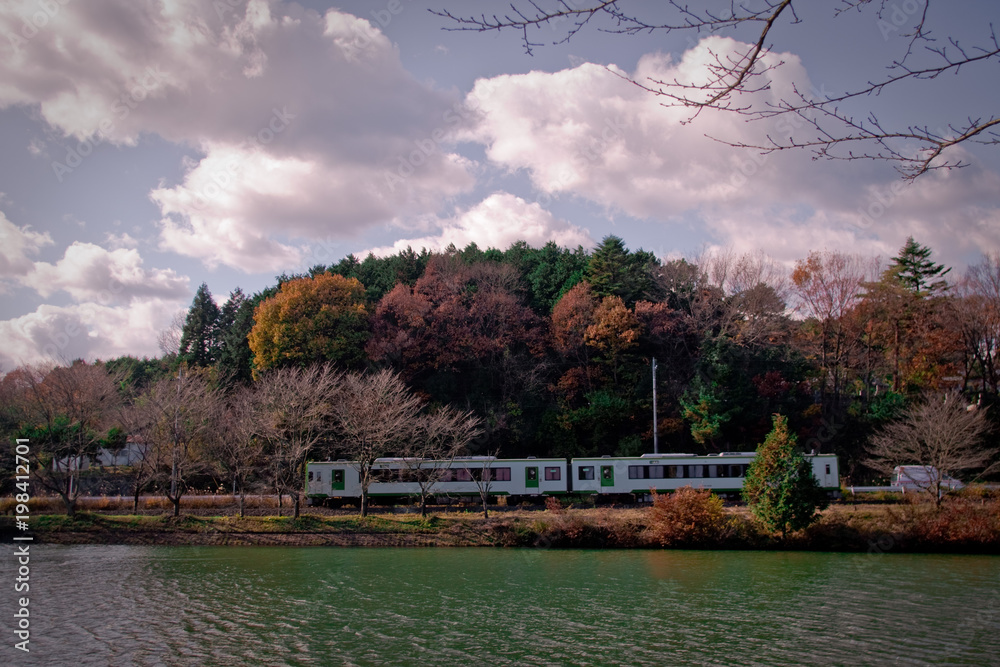 Naklejka premium 紅葉とローカル鉄道