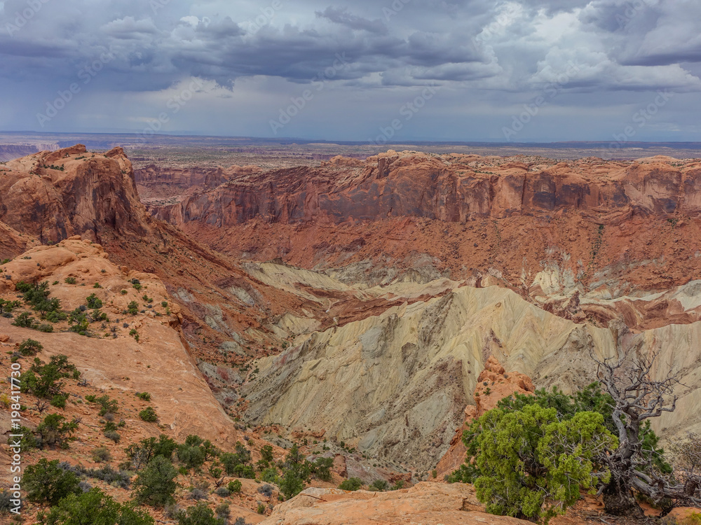 View of one of the canyons in Canyonlands National Park under a stormy sky