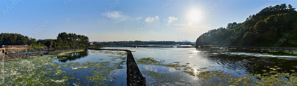 Landscape of Jeju Olle cours No. 2