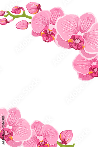 Pink purple bright exotic orchid phalaenopsis flowers card. Vertical portrait border frame template with decorated corners. Vector design element for invitation greeting card.