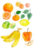 акварельный рисунок с изображением фруктов. Набор фруктов: апельсин, банан, лимон, мандарин, яблоко