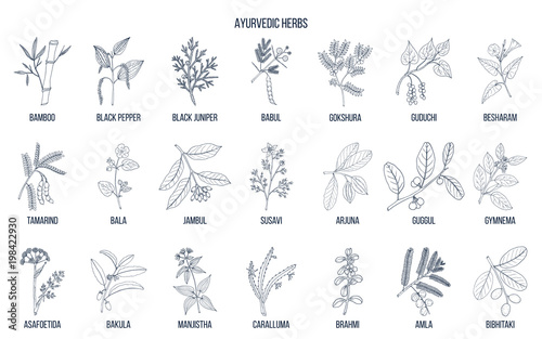 Ayurvedic herbs, natural botanical set