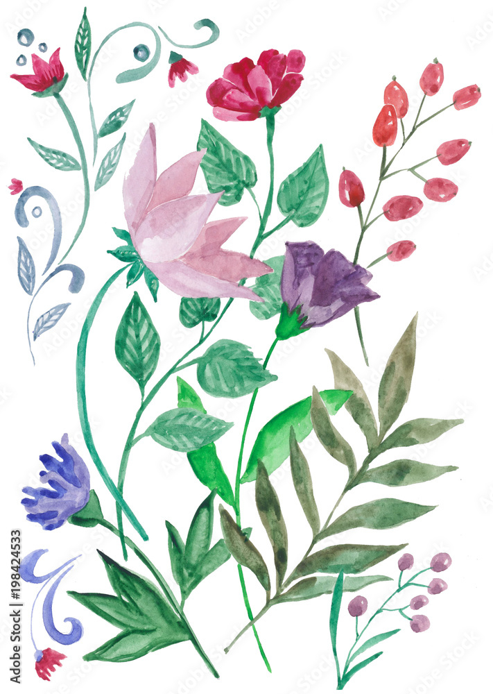 акварельные цветы. Ботаническая иллюстрация. Набор цветов и растений, Букет из красных, розовых и фиолетовых цветов