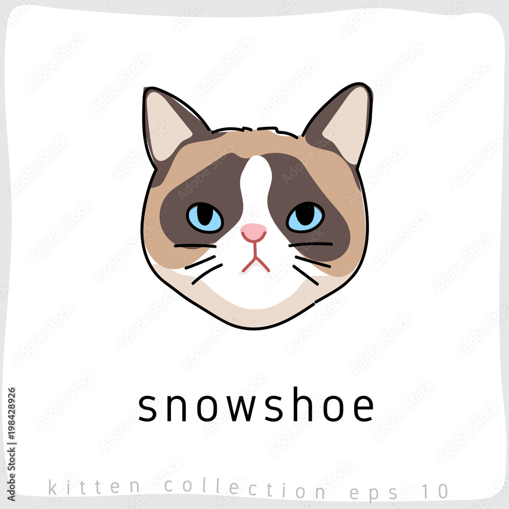 Cat breed collection : Vector Illustration Cat breed collection : Vector Illustration