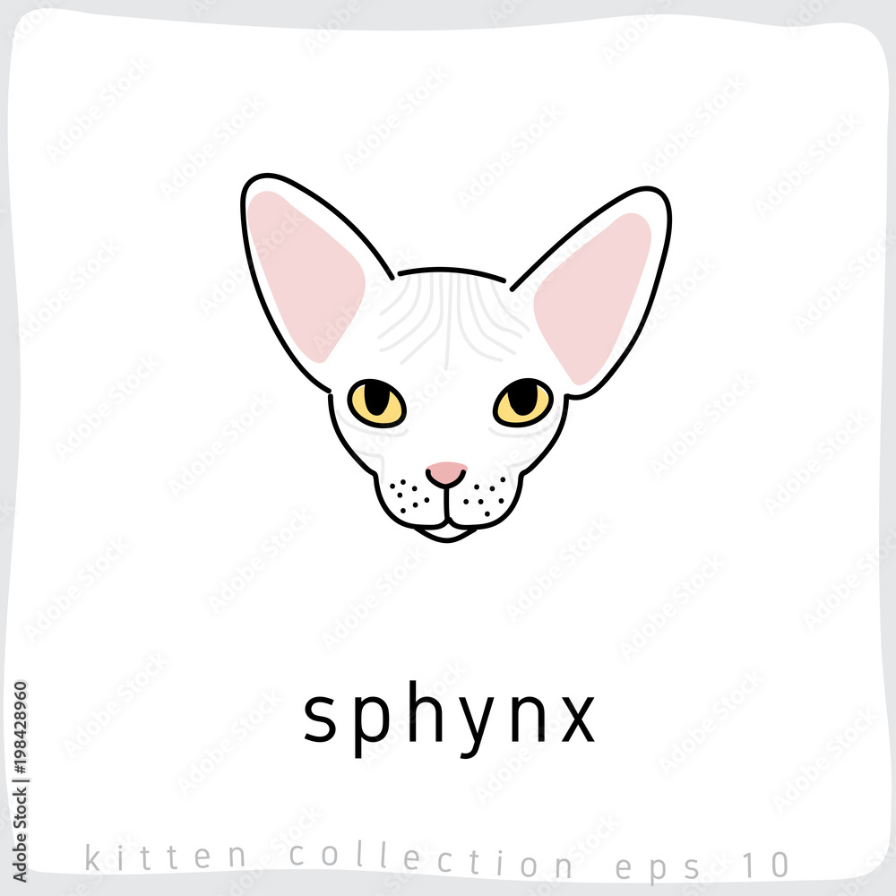 Cat breed collection : Vector Illustration Cat breed collection : Vector Illustration